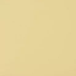 Virtual Nymph Flexi Body - Funky Fly Tying -Eyes & Dumbbells Sales Store Virtual Nymph Flexi Body Mayfly Cream