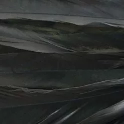 Whiting 1/4oz Loose Pack Of Schlappen - Funky Fly Tying -Eyes & Dumbbells Sales Store Whiting 1 4oz Loose Pack of Schlappen Black 1 1