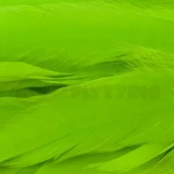 Whiting 1/4oz Loose Pack Of Schlappen - Funky Fly Tying -Eyes & Dumbbells Sales Store Whiting 1 4oz Loose Pack of Schlappen Dyed FL. Green Chartreuse 1