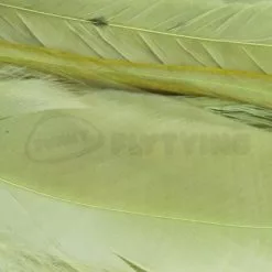 Whiting 1/4oz Loose Pack Of Schlappen - Funky Fly Tying -Eyes & Dumbbells Sales Store Whiting 1 4oz Loose Pack of Schlappen Dyed Olive 1