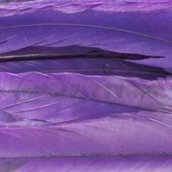 Whiting 1/4oz Loose Pack Of Schlappen - Funky Fly Tying -Eyes & Dumbbells Sales Store Whiting 1 4oz Loose Pack of Schlappen Dyed Purple 1
