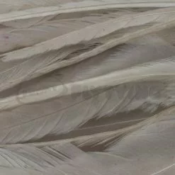 Whiting 1/4oz Loose Pack Of Schlappen - Funky Fly Tying -Eyes & Dumbbells Sales Store Whiting 1 4oz Loose Pack of Schlappen Dyed Tan 1