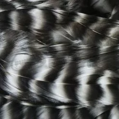 Whiting 1/4oz Loose Pack Of Schlappen - Funky Fly Tying -Eyes & Dumbbells Sales Store Whiting 1 4oz Loose Pack of Schlappen Grizzle 1