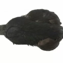 Whiting 4 B's Hen Cape - Funky Fly Tying