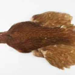 Whiting 4 B's Hen Cape - Funky Fly Tying -Eyes & Dumbbells Sales Store Whiting 4B Hen Neck Capes Brown