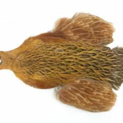 Whiting 4 B's Hen Cape - Funky Fly Tying -Eyes & Dumbbells Sales Store Whiting 4B Hen Neck Capes Greenwells