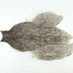 Whiting 4 B's Hen Cape - Funky Fly Tying -Eyes & Dumbbells Sales Store Whiting 4B Hen Neck Capes Natural Medium Dun