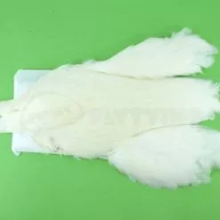 Whiting 4 B's Hen Cape - Funky Fly Tying -Eyes & Dumbbells Sales Store Whiting 4B Hen Neck Capes White
