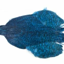 Whiting 4 B's Rooster Cape - Funky Fly Tying -Eyes & Dumbbells Sales Store Whiting 4B Rooster Neck Cape Dyed Grizzly Kingfisher Blue 1 1
