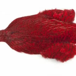Whiting 4 B's Rooster Cape - Funky Fly Tying -Eyes & Dumbbells Sales Store Whiting 4B Rooster Neck Cape Dyed Grizzly Red 1