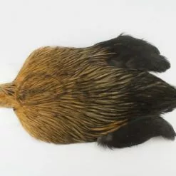 Whiting 4 B's Rooster Cape - Funky Fly Tying -Eyes & Dumbbells Sales Store Whiting 4B Rooster Neck Cape Greenwells 1