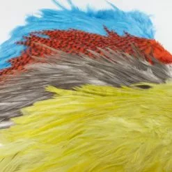 Whiting 4 B's Rooster Saddle - Funky Fly Tying