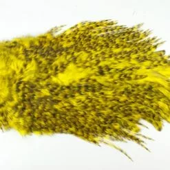 Whiting 4 B's Rooster Saddle - Funky Fly Tying -Eyes & Dumbbells Sales Store Whiting 4B Rooster Saddle Capes 3