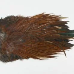 Whiting 4 B's Rooster Saddle - Funky Fly Tying -Eyes & Dumbbells Sales Store Whiting 4B Rooster Saddle Capes 5 1