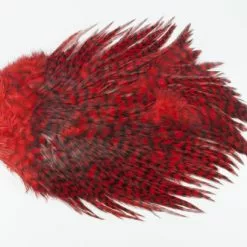 Whiting 4 B's Rooster Saddle - Funky Fly Tying -Eyes & Dumbbells Sales Store Whiting 4B Rooster Saddle Capes 7 1