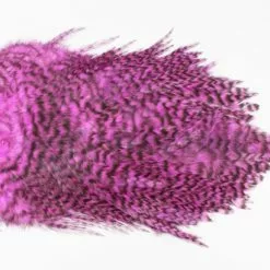 Whiting 4 B's Rooster Saddle - Funky Fly Tying -Eyes & Dumbbells Sales Store Whiting 4B Rooster Saddle Capes Dyed Grizzly Pink 1