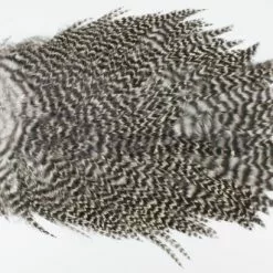 Whiting 4 B's Rooster Saddle - Funky Fly Tying -Eyes & Dumbbells Sales Store Whiting 4B Rooster Saddle Capes Grizzle