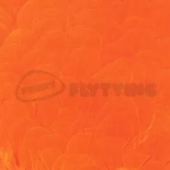 Whiting American Hen Saddles - Funky Fly Tying -Eyes & Dumbbells Sales Store Whiting American Hen Saddles Orange 1