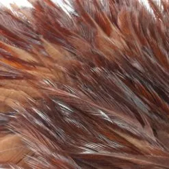 Whiting American Streamer Packs - Funky Fly Tying 77 Whiting American Streamer Packs - Funky Fly Tying -Eyes & Dumbbells Sales Store Whiting American Streamer Packs 1 1 1