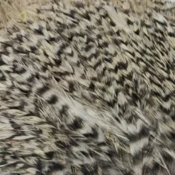 Whiting American Streamer Packs - Funky Fly Tying 59 Whiting American Streamer Packs - Funky Fly Tying -Eyes & Dumbbells Sales Store Whiting American Streamer Packs 10 1 1