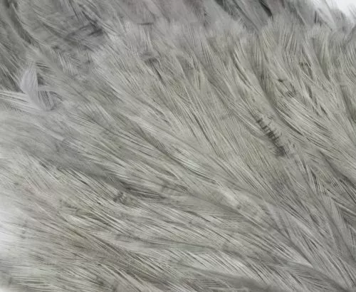 Whiting American Streamer Packs - Funky Fly Tying 55 Whiting American Streamer Packs - Funky Fly Tying - Image 53