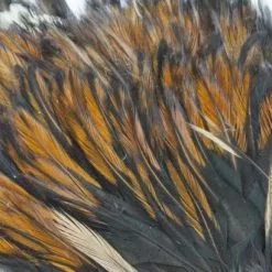 Whiting American Streamer Packs - Funky Fly Tying 75 Whiting American Streamer Packs - Funky Fly Tying -Eyes & Dumbbells Sales Store Whiting American Streamer Packs 2 1 1