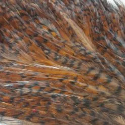 Whiting American Streamer Packs - Funky Fly Tying 72 Whiting American Streamer Packs - Funky Fly Tying -Eyes & Dumbbells Sales Store Whiting American Streamer Packs 3 1