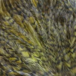 Whiting American Streamer Packs - Funky Fly Tying 71 Whiting American Streamer Packs - Funky Fly Tying -Eyes & Dumbbells Sales Store Whiting American Streamer Packs 4 1 1