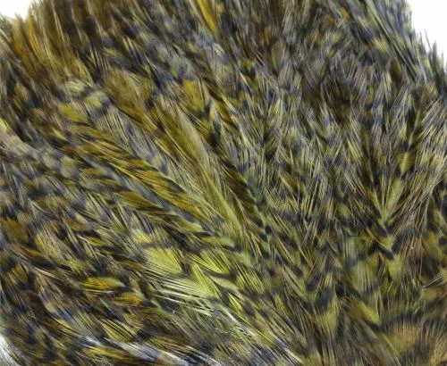 Whiting American Streamer Packs - Funky Fly Tying 17 Whiting American Streamer Packs - Funky Fly Tying - Image 15