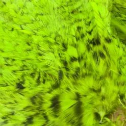 Whiting American Streamer Packs - Funky Fly Tying 68 Whiting American Streamer Packs - Funky Fly Tying -Eyes & Dumbbells Sales Store Whiting American Streamer Packs 5 1