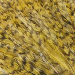 Whiting American Streamer Packs - Funky Fly Tying 67 Whiting American Streamer Packs - Funky Fly Tying -Eyes & Dumbbells Sales Store Whiting American Streamer Packs 6 1 1