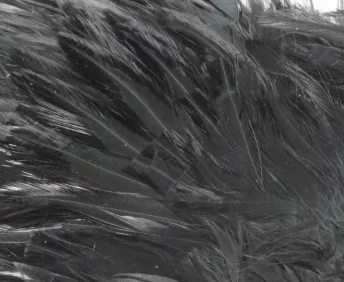 Whiting American Streamer Packs - Funky Fly Tying 52 Whiting American Streamer Packs - Funky Fly Tying - Image 50