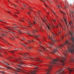 Whiting American Streamer Packs - Funky Fly Tying 99 Whiting American Streamer Packs - Funky Fly Tying -Eyes & Dumbbells Sales Store Whiting American Streamer Packs Dyed Grizzly Red 1 1