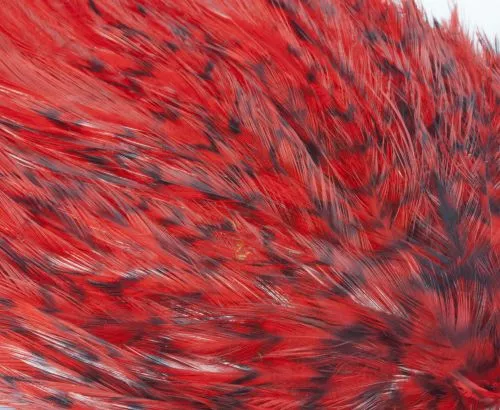 Whiting American Streamer Packs - Funky Fly Tying 46 Whiting American Streamer Packs - Funky Fly Tying - Image 44