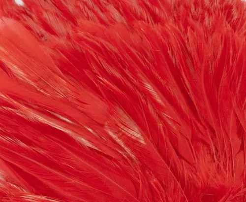 Whiting American Streamer Packs - Funky Fly Tying 33 Whiting American Streamer Packs - Funky Fly Tying - Image 31