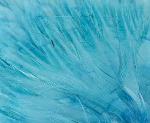 Whiting American Streamer Packs - Funky Fly Tying 32 Whiting American Streamer Packs - Funky Fly Tying - Image 30