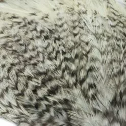 Whiting American Streamer Packs - Funky Fly Tying 80 Whiting American Streamer Packs - Funky Fly Tying -Eyes & Dumbbells Sales Store Whiting American Streamer Packs Grizzle 1