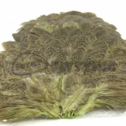 Whiting Brahma Hen Saddle - Funky Fly Tying -Eyes & Dumbbells Sales Store Whiting Brahma Hen Saddle Capes 1 1