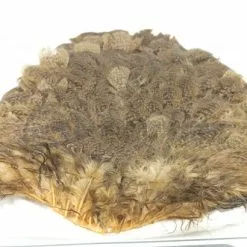 Whiting Brahma Hen Saddle - Funky Fly Tying -Eyes & Dumbbells Sales Store Whiting Brahma Hen Saddle Capes 2