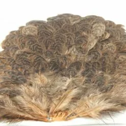 Whiting Brahma Hen Saddle - Funky Fly Tying -Eyes & Dumbbells Sales Store Whiting Brahma Hen Saddle Capes Dyed Tan 1