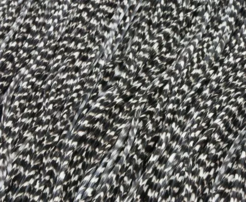 Whiting Bronze Grade Midge Saddle - Funky Fly Tying 8 Whiting Bronze Grade Midge Saddle - Funky Fly Tying - Image 6