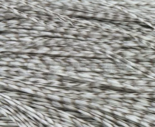 Whiting Bronze Grade Saddle - Funky Fly Tying 30 Whiting Bronze Grade Saddle - Funky Fly Tying - Image 28