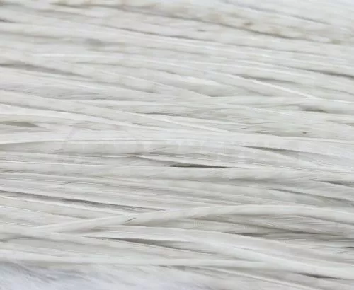 Whiting Bronze Grade Saddle - Funky Fly Tying 22 Whiting Bronze Grade Saddle - Funky Fly Tying - Image 20