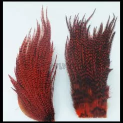 Whiting Bugger Packs - Funky Fly Tying 53 Whiting Bugger Packs - Funky Fly Tying -Eyes & Dumbbells Sales Store Whiting Bugger Packs 10 1 1