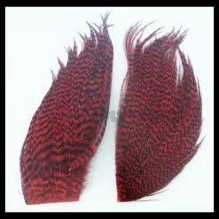 Whiting Bugger Packs - Funky Fly Tying 46 Whiting Bugger Packs - Funky Fly Tying -Eyes & Dumbbells Sales Store Whiting Bugger Packs 13 1