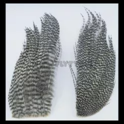 Whiting Bugger Packs - Funky Fly Tying 61 Whiting Bugger Packs - Funky Fly Tying -Eyes & Dumbbells Sales Store Whiting Bugger Packs 19 1 1