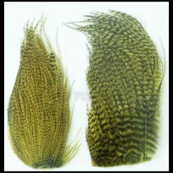 Whiting Bugger Packs - Funky Fly Tying 57 Whiting Bugger Packs - Funky Fly Tying -Eyes & Dumbbells Sales Store Whiting Bugger Packs 8 1 1