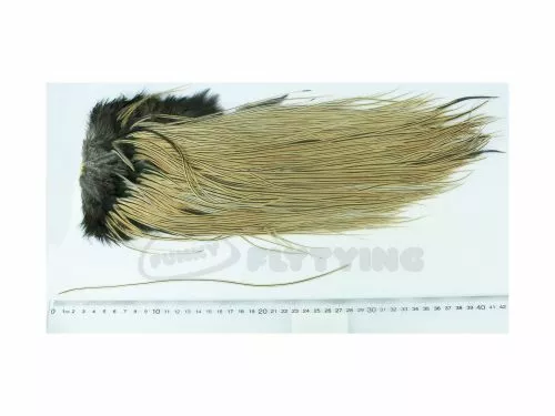 Whiting Eurohackle Saddle - Funky Fly Tying 5 Whiting Eurohackle Saddle - Funky Fly Tying - Image 3