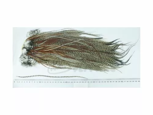 Whiting Eurohackle Saddle - Funky Fly Tying 4 Whiting Eurohackle Saddle - Funky Fly Tying - Image 2