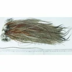 Whiting Eurohackle Saddle - Funky Fly Tying 22 Whiting Eurohackle Saddle - Funky Fly Tying -Eyes & Dumbbells Sales Store Whiting Eurohackle Saddle Cape Furnace